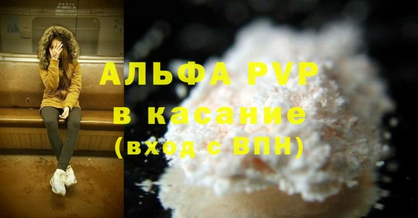 гашик Медногорск