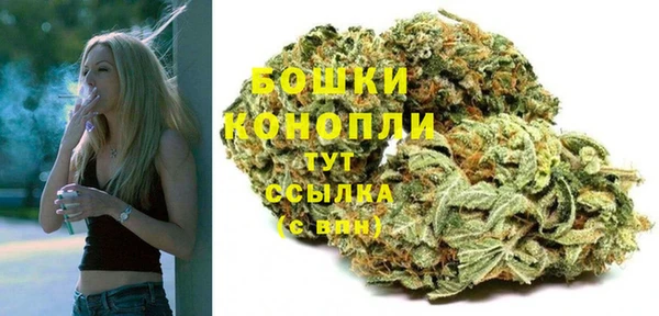 гашик Медногорск