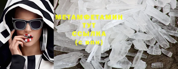 крисы Медвежьегорск