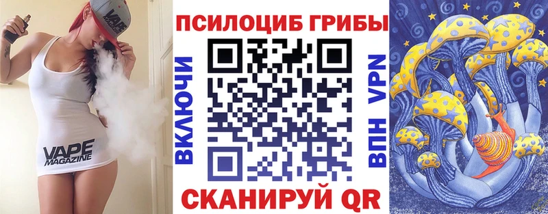 OMG ТОР  Дмитриев  Псилоцибиновые грибы Psilocybine cubensis 